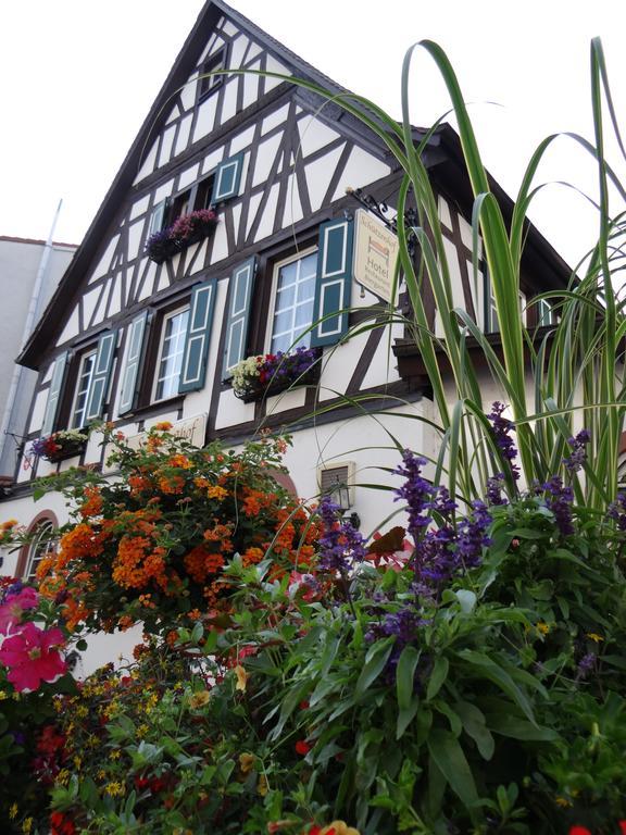 Hotel Schuetzenhof Spa Garden Buerstadt Ngoại thất bức ảnh